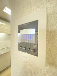 バリュージュ大久保 0205号-9