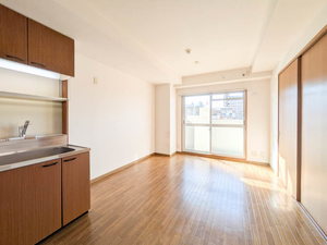 シルクステージ 0303号-2