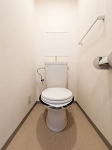 シルクステージ 0303号-9