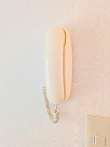 サンフローラ 0202号-15