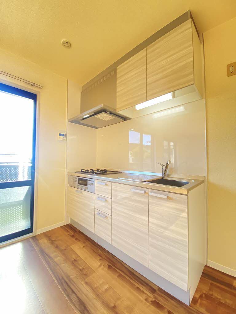 スカイヴィレッジ K201号-3