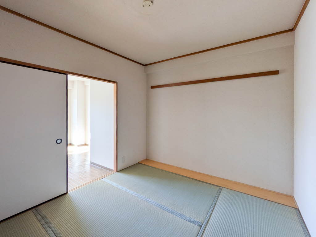 シルクステージ 0303号-5