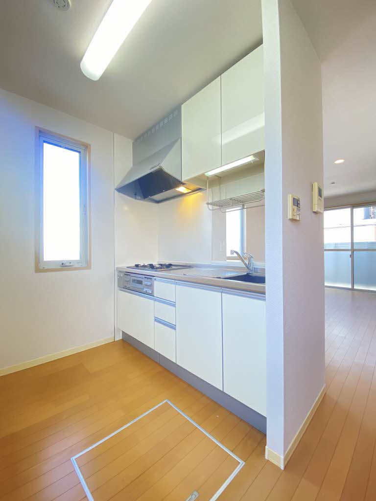 プレジール明石Ⅲ 0102号-3