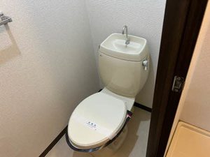 ハイネス辻 0203号-10