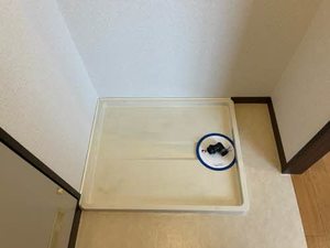 ハイネス辻 0206号-12