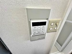 ライムライト 0205号-8