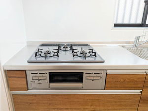 エバーグリーン ハイツ A102号-11