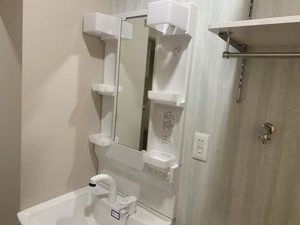 ディアス島泉Ⅱ 0105号-3