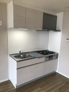 ディアス島泉Ⅱ 0105号-14