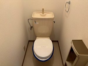 Ｋ’ｓ　Ｐａｓｔｒａｌ 0205号-10