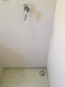 フォーレス華 B202号-6