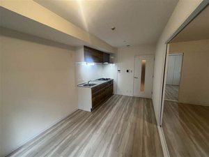 ドゥミール西山本 0101号-2