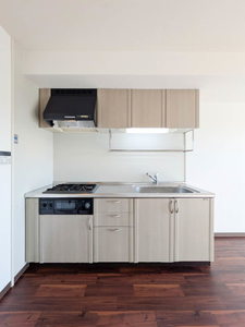 ドゥミール西山本 0502号-4