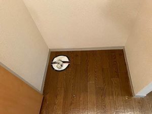 ディアス新今里 0205号-5