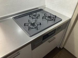 シャーメゾン・なんば 0201号-3