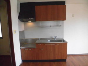 ライジング　サン 0102号-3