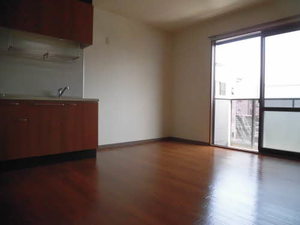 ライジング　サン 0102号-4