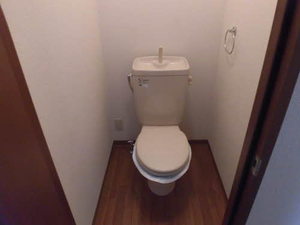 ライジング　サン 0102号-6