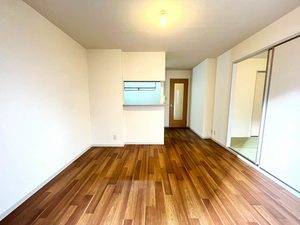 メゾン・カズⅡ 0102号-5