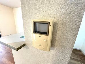 メゾン・カズⅡ 0102号-11