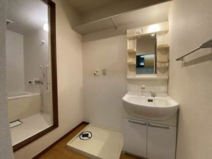 コートビレッジ平野 0103号-9