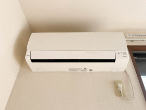 カーサベルテ 0203号-10