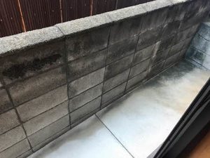 Candy Court 0101号-10