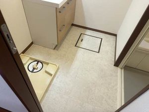 アコール　ドウ 0106号-7