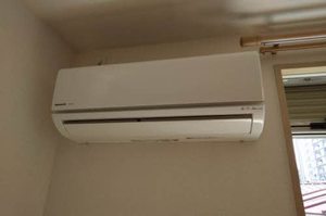 カサ　サンボンギ 0203号-5