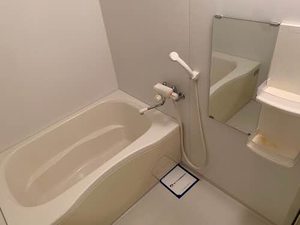 シャーメゾン・ゼフィ 0101号-7