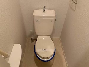 シャーメゾン・ゼフィ 0101号-9