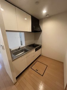ヌーベル上之島Ａ 0102号-11