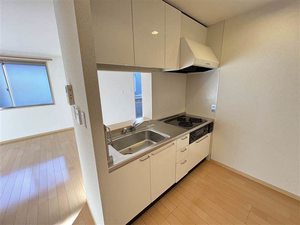 ヌーベル上之島Ａ 0202号-4