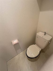 ヌーベル上之島Ａ 0205号-9