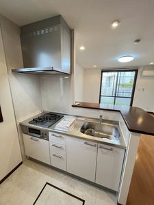 グリーン　ウィング B106号-4