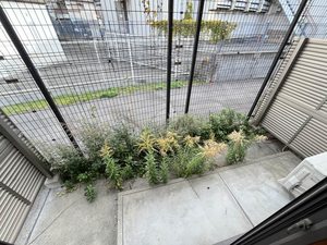 グリーン　ウィング B106号-14