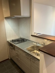 グリーン ウィング B205号-4