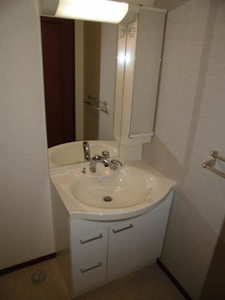 サンメゾン大宮 0101号-6