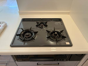 シャーメゾン深野 0102号-9