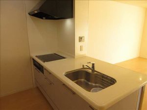 リバーパークエレガント 0205号-4