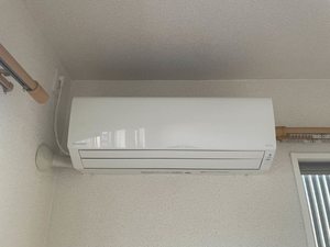 山清庵 0205号-11