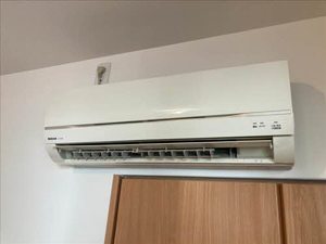 シャーメゾン ファイン 0101号-11