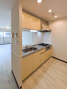 クレール 大領 0201号-3