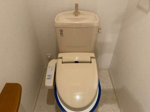 ウィステリア 0201号-5