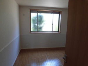 シャローム　小枝 0101号-11