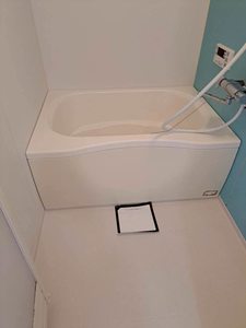 パストラル 0201号-5