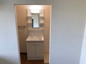 エピーメロン B203号-5