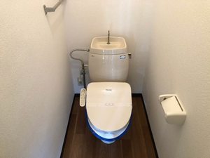 エピーメロン B203号-6