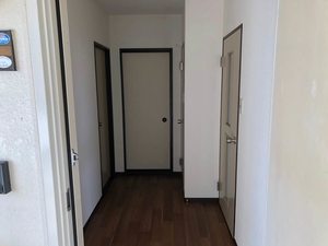 エピーメロン B203号-12