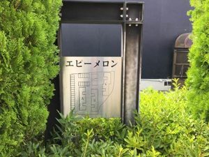 エピーメロン B203号-14